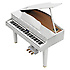 GP607-PW Roland
