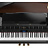 GP607-PW Roland