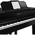 GP607-PW Roland
