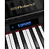 GP607-PW Roland