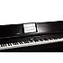 DP603-PE Roland