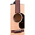 D-15 Special Martin Guitars