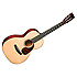 00-18 Authentic 1931 Martin Guitars