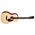 00-18 Authentic 1931 Martin Guitars