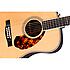 PM-1 Limited Adirondack Dreadnought Rosewood Fender
