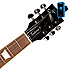 CT17-BU D'Addario Eclipse Planet Waves