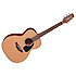 P1M Takamine