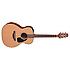 P1M Takamine