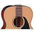 P1M Takamine