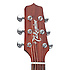 P1M Takamine