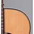 P1M Takamine