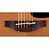 P1M Takamine