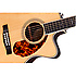 PM-3 Limited Adirondack Triple-0 Rosewood Fender