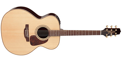 Takamine P5J