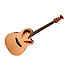 Applause Elite Natural AE44-4 Ovation
