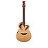Applause Elite Natural AE44-4 Ovation