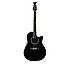 Custom Legend Black C2079AX-5 Ovation