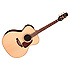 P5J Takamine