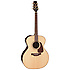 P5J Takamine