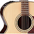 P5J Takamine