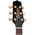 P5J Takamine