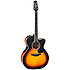 P6JC-BSB Takamine