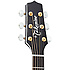 P6JC-BSB Takamine