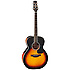 P6N-BSB Takamine