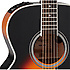 P6N-BSB Takamine