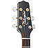 P6N-BSB Takamine