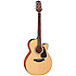 GN10CE-NS Takamine
