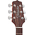 GN10CE-NS Takamine