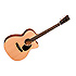 OMC-16E Martin Guitars