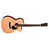 OMC-16E Martin Guitars