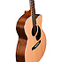 OMC-16E Martin Guitars