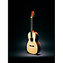 000-30 Authentic 1919 Martin Guitars