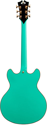 EX-DC Surfgreen + Etui D'Angelico