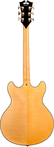 EX-DC Stairstep Tailpiece Natural Clear + Etui D'Angelico