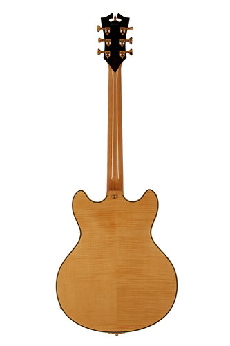 EX-DC Stairstep Tailpiece Natural Tint + Etui D'Angelico