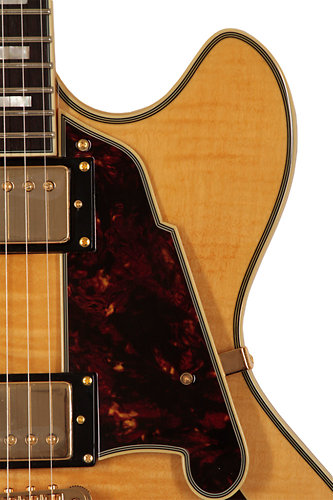 EX-DC Stairstep Tailpiece Natural Tint + Etui D'Angelico