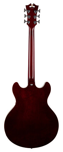 Premier DC stopbar tailpiece Trans Wine + housse D'Angelico