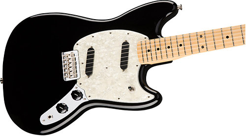 Mustang Black Fender