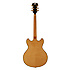 EX-DC Stairstep Tailpiece Natural Tint + Etui D'Angelico