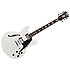 Premier DC stopbar tailpiece White + housse D'Angelico
