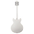 Premier DC stopbar tailpiece White + housse D'Angelico