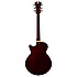 Premier SS stopbar center block Trans Wine + housse D'Angelico