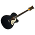 G5022CBFE Rancher Falcon Black Gretsch Guitars