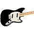 Mustang Black Fender