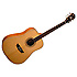 WD-10 N Natural Washburn