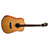 WD-10 N Natural Washburn